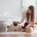 The Benefits of Air Purifiers for Indoor Air Quality