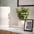 Optimal Placement for Your Air Purifier