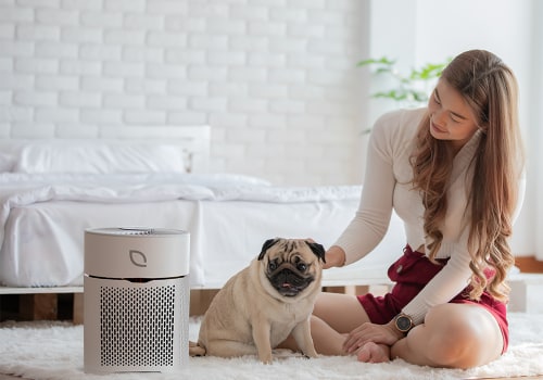 The Benefits of Air Purifiers for Indoor Air Quality