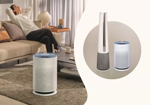 The Importance of Using an Air Purifier Every Day