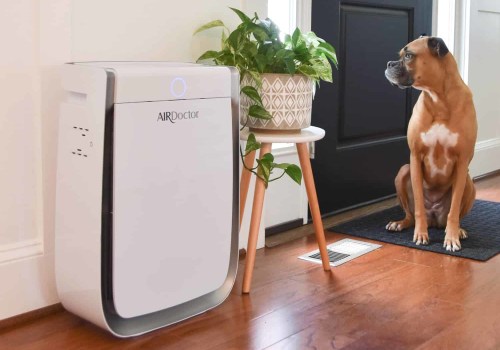 The Truth About Air Purifiers: What Experts Recommend